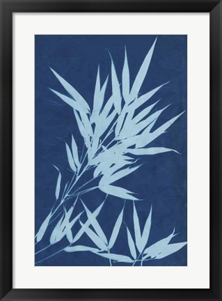 Framed Cyanotype No.1 Print