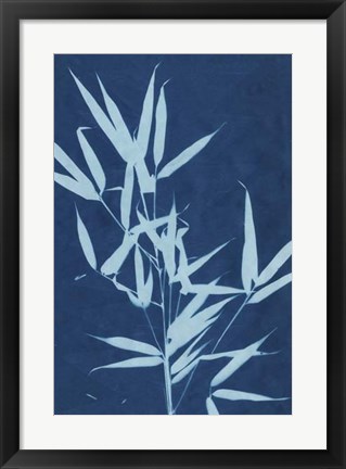Framed Cyanotype No.2 Print