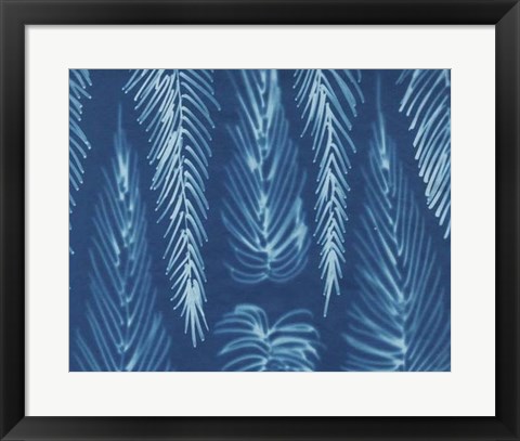 Framed Cyanotype No.7 Print