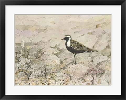 Framed Perched Print