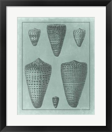 Framed Spa Shell Collection I Print