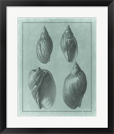 Framed Spa Shell Collection III Print