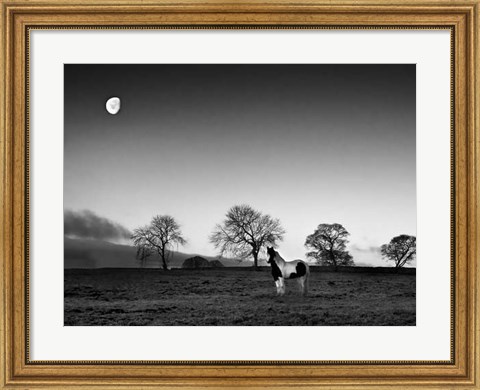 Framed Evening Light IV Print