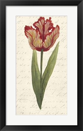 Framed Twin Tulips II Print
