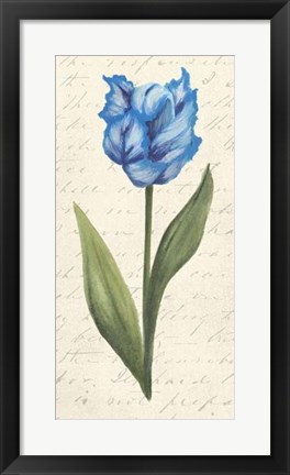 Framed Twin Tulips IV Print