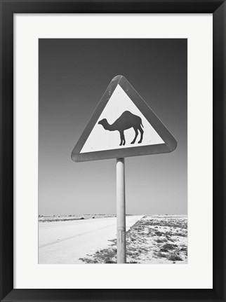 Framed Qatar, Al Zubarah. Camel Crossing Sign-Road to Al-Zubarah NW Qatar Print