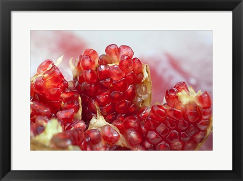 Framed Pomegranate on the street raw or made into juice, Bangkok, Thailand Print