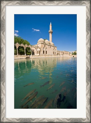 Framed Halil-ur Rahman Mosque, Pool of Abraham, Urfa, Turkey Print