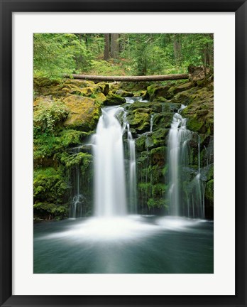 Framed View of Whitehorse Falls, Umpqua National Forest, Oregon Print