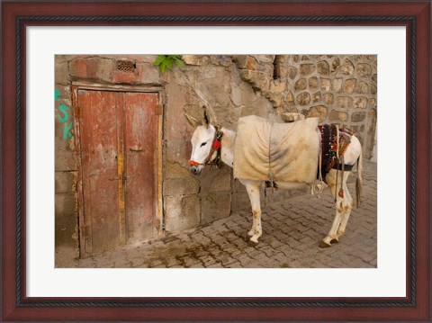 Framed Donkey and Cobbled Streets, Mardin, Turkey Print