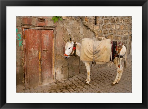 Framed Donkey and Cobbled Streets, Mardin, Turkey Print