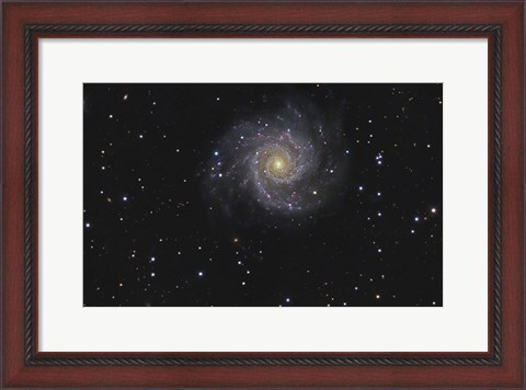 Framed Messier 74, A Spiral Galaxy in the Constellation Pisces Print