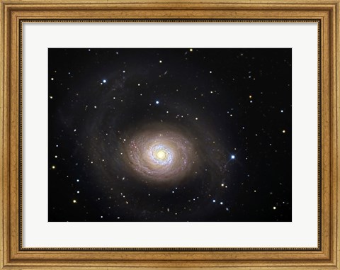 Framed Messier 94, A Spiral Galaxy in the Constellation Canes Venatici Print