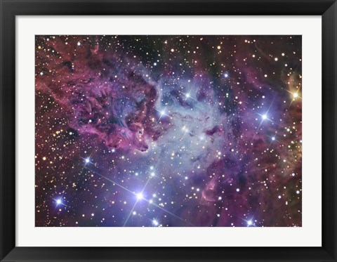 Framed Fox Fur Nebula Print