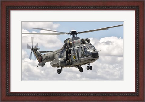 Framed Eurocopter AS332 Super Puma Helicopter of the Brazilian Navy Print