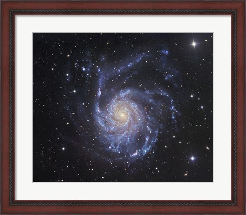 Framed Pinwheel Galaxy in Ursa Major Print