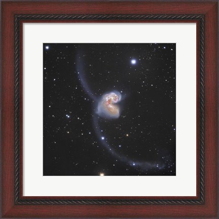 Framed Antennae Galaxies in the constellation Corvus Print