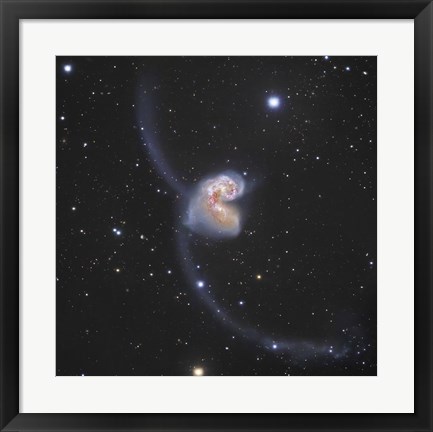 Framed Antennae Galaxies in the constellation Corvus Print