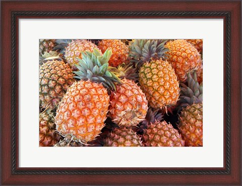 Framed Pineapples, Sunshine Coast, Queensland, Australia Print