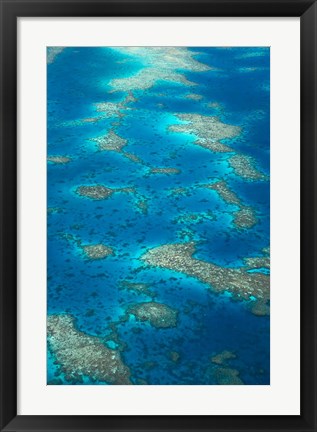 Framed Undine Reef, Great Barrier Reef, Queensland, Australia Print