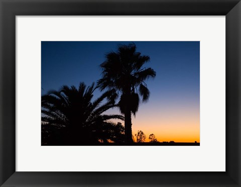 Framed Palm Trees, Sunset, Stuart Highway, Outback, Australia Print