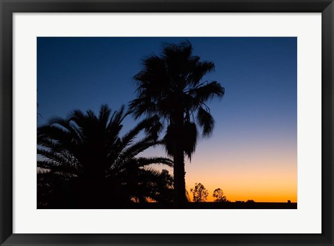 Framed Palm Trees, Sunset, Stuart Highway, Outback, Australia Print