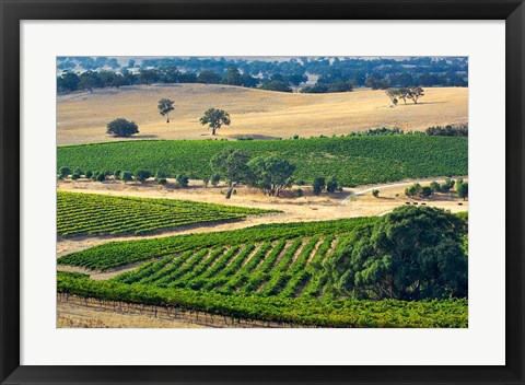 Framed Mountadam vineyard winery on High Eden Road, Barossa Valley, Australia Print