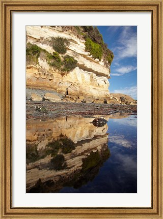 Framed Cliffs of Fossil Bluff, Wynyard, NW Tasmania, Australia Print