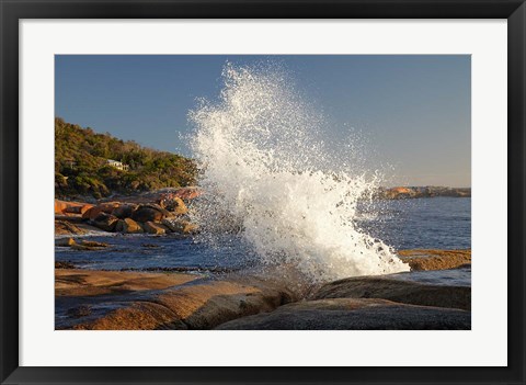 Framed Splash from Blowhole, Bicheno, Tasmania, Australia Print
