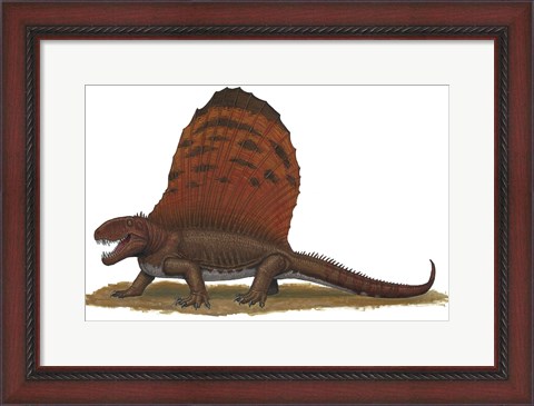 Framed Dimetrodon Print