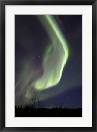 Framed Aurora Borealis with Orion&#39;s Belt, Yukon, Canada Print
