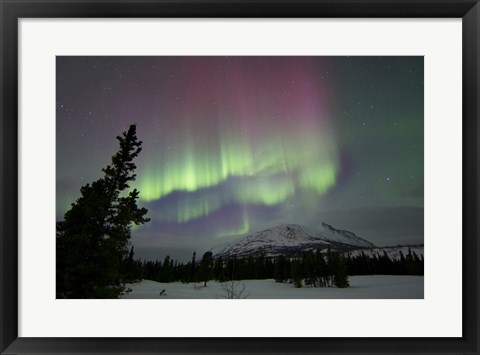 Framed Red and Green Aurora Borealis over Carcross Desert, Canada Print