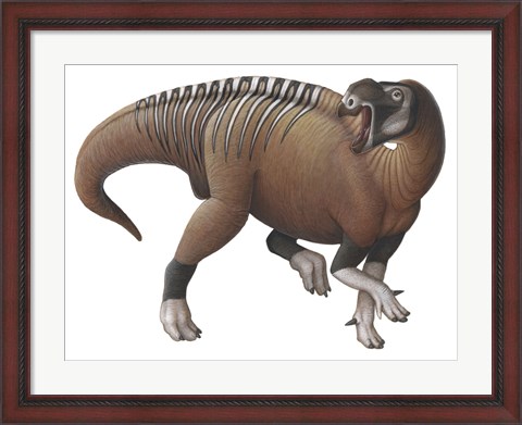 Framed Muttaburrasaurus Dinosaur from the Early Cretaceous Period Print