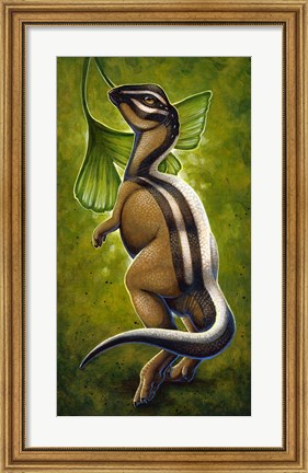 Framed Micropachycephalosaurus Print