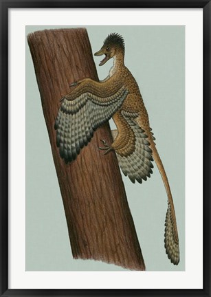 Framed Microraptor Gui Print