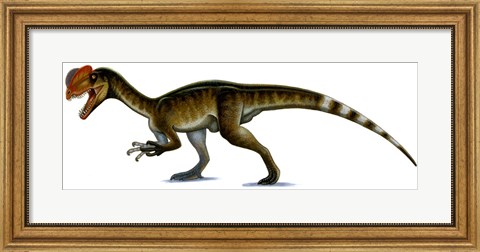 Framed Dilophosaurus Wetherilli Print