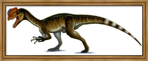Framed Dilophosaurus Wetherilli Print