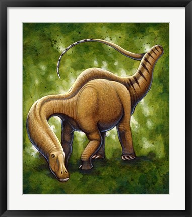 Framed Apatosaurus Print