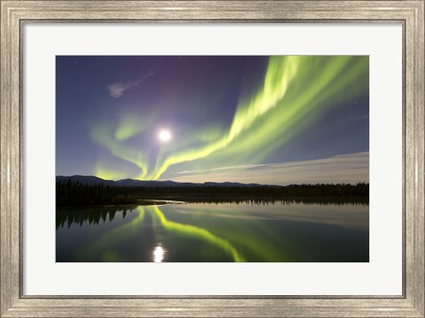 Framed Aurora Borealis and Full Moon over the Yukon River, Canada Print