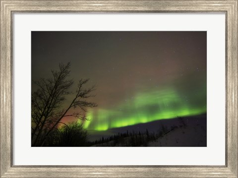 Framed Aurora Borealis, Twin Lakes, Yukon, Canada Print
