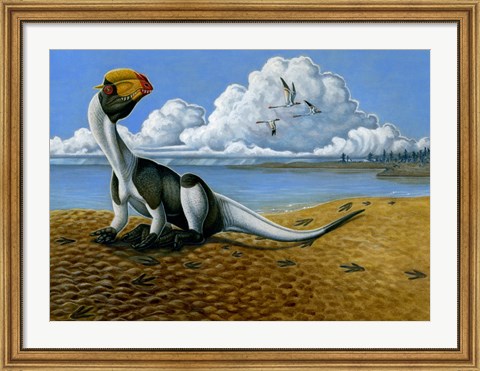 Framed Dilophosaurus on the beach Print