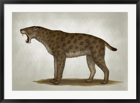 Framed Homotherium Latidens Print