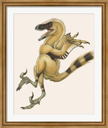 Framed Bambiraptor Print