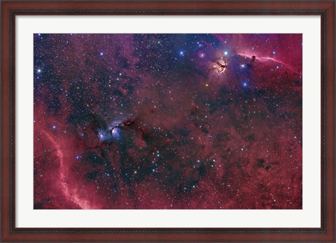 Framed Widefield View in the Orion Constellation Print