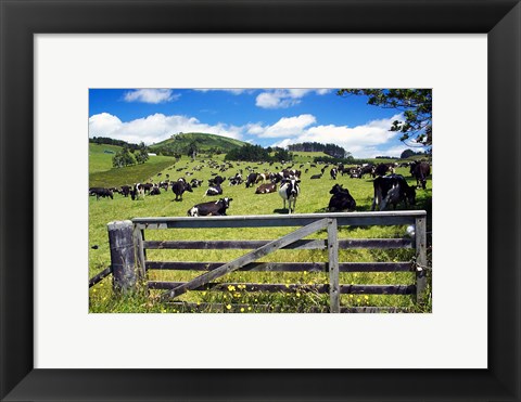 Framed Gate and Dairy Farm near Kaikohe, Northland, New Zealand Print