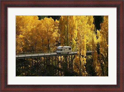 Framed Autumn Colors, Victoria Bridge, Kawarau Gorge, South Island, New Zealand Print