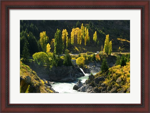 Framed Autumn Colours, Kawarau River, Kawarau Gorge, South Island, New Zealand Print