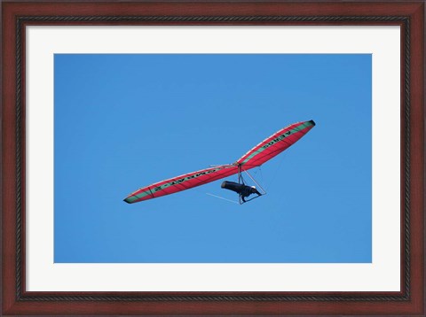 Framed Hang glider, Otago Peninsula, South Island, New Zealand Print