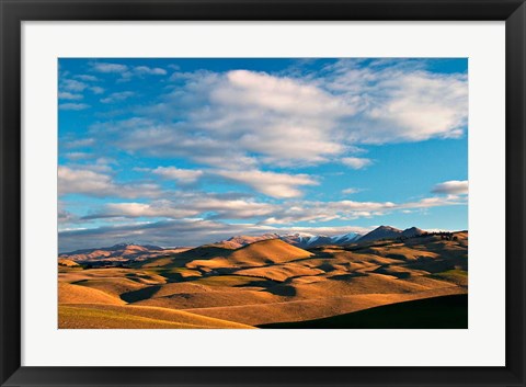 Framed North Otago Landscape, South Island, New Zealand Print