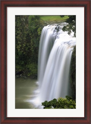 Framed Whangarei Falls, Whangarei, Northland, New Zealand Print